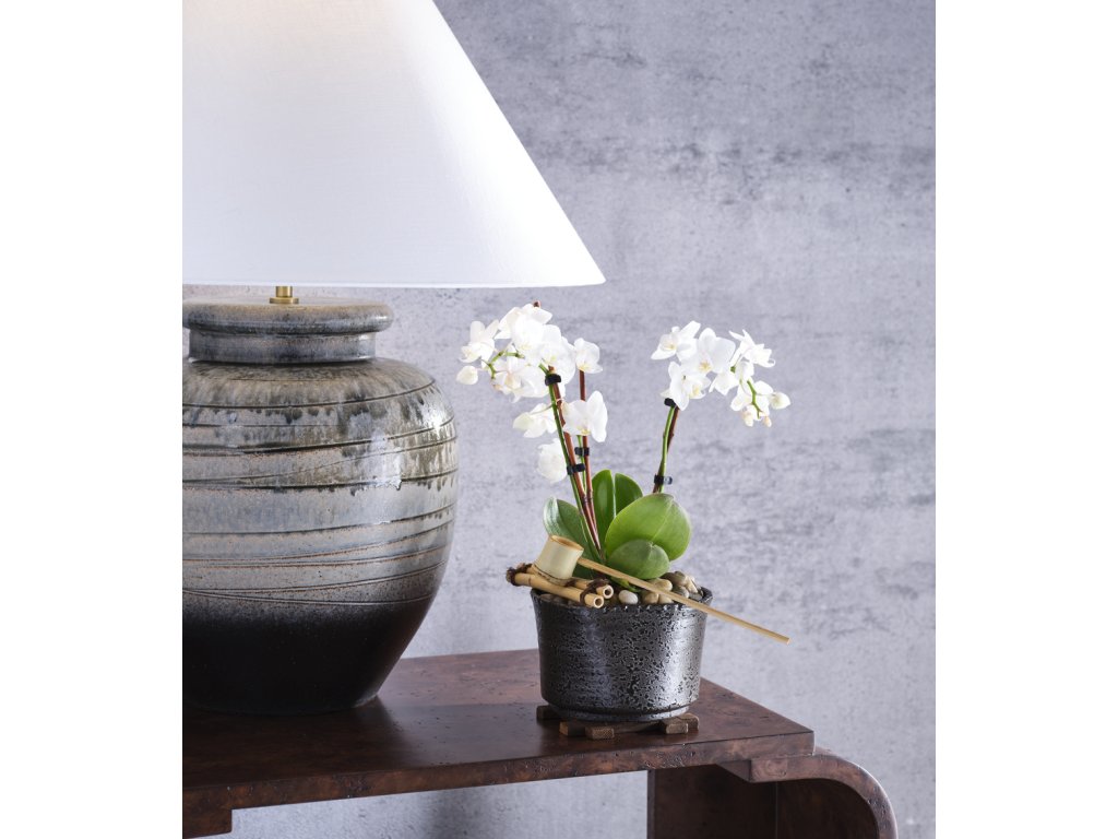 Shokubutsu Kuro Vessel - image 2
