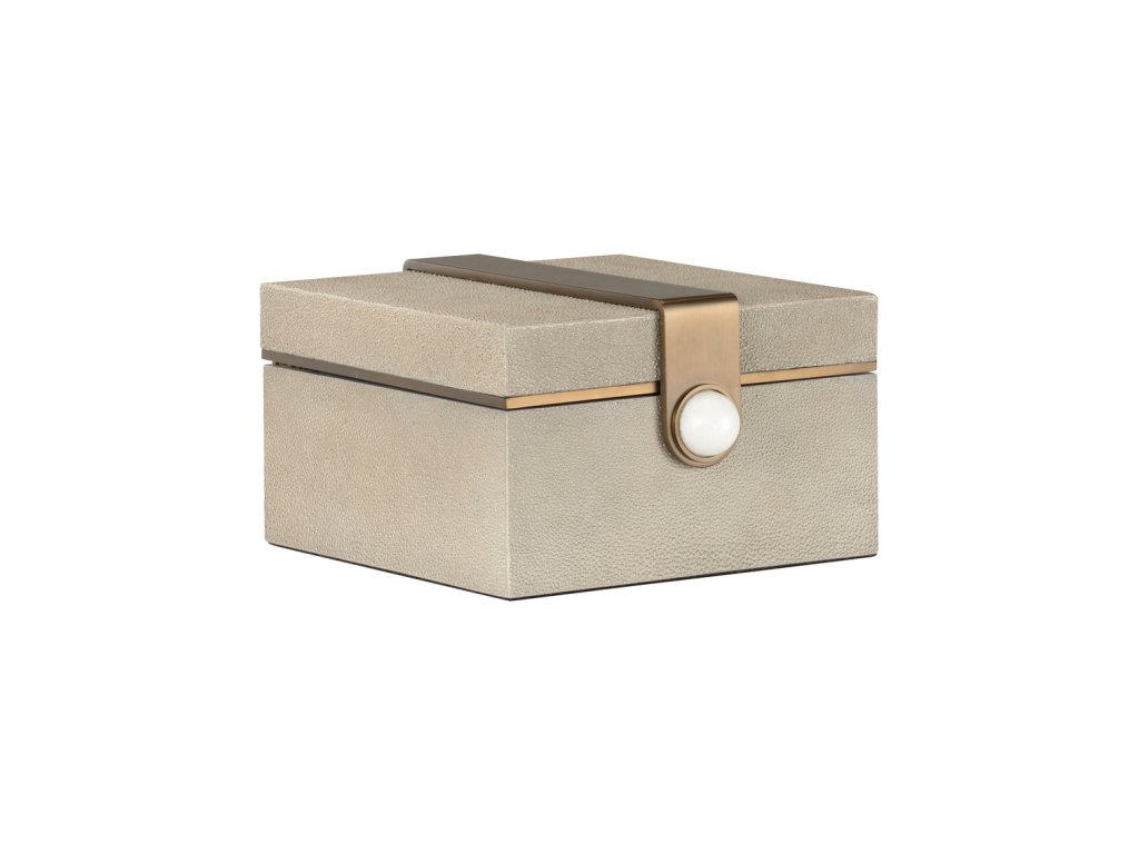 Steven Box -Square - main image