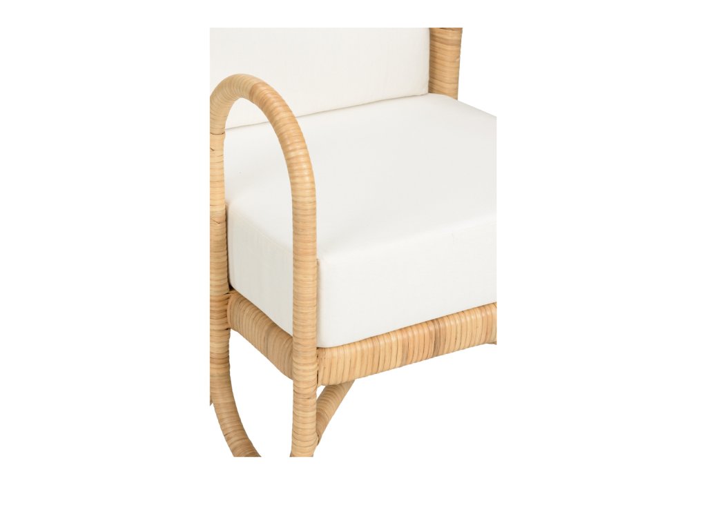 Cuixmala Lounge Chair - image 5