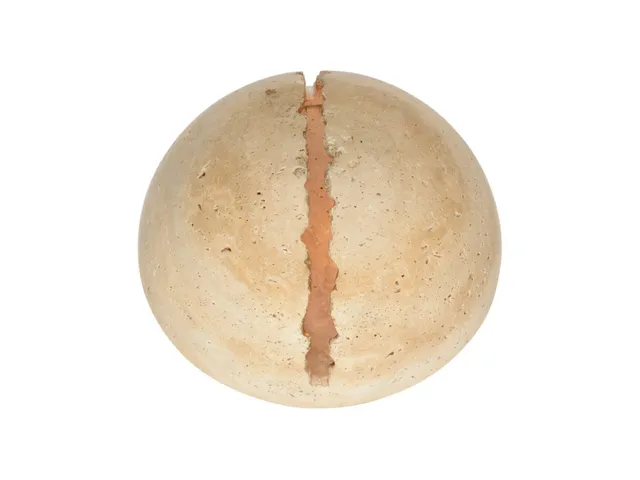 Lunar White Sconce